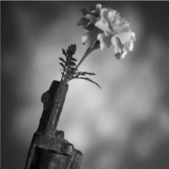 WICKERMAN – Shoot You&nbsp;Down