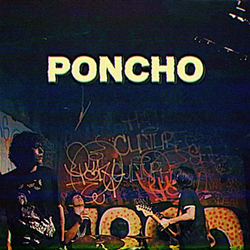 PENNY FOUNTAIN –&nbsp;PONCHO