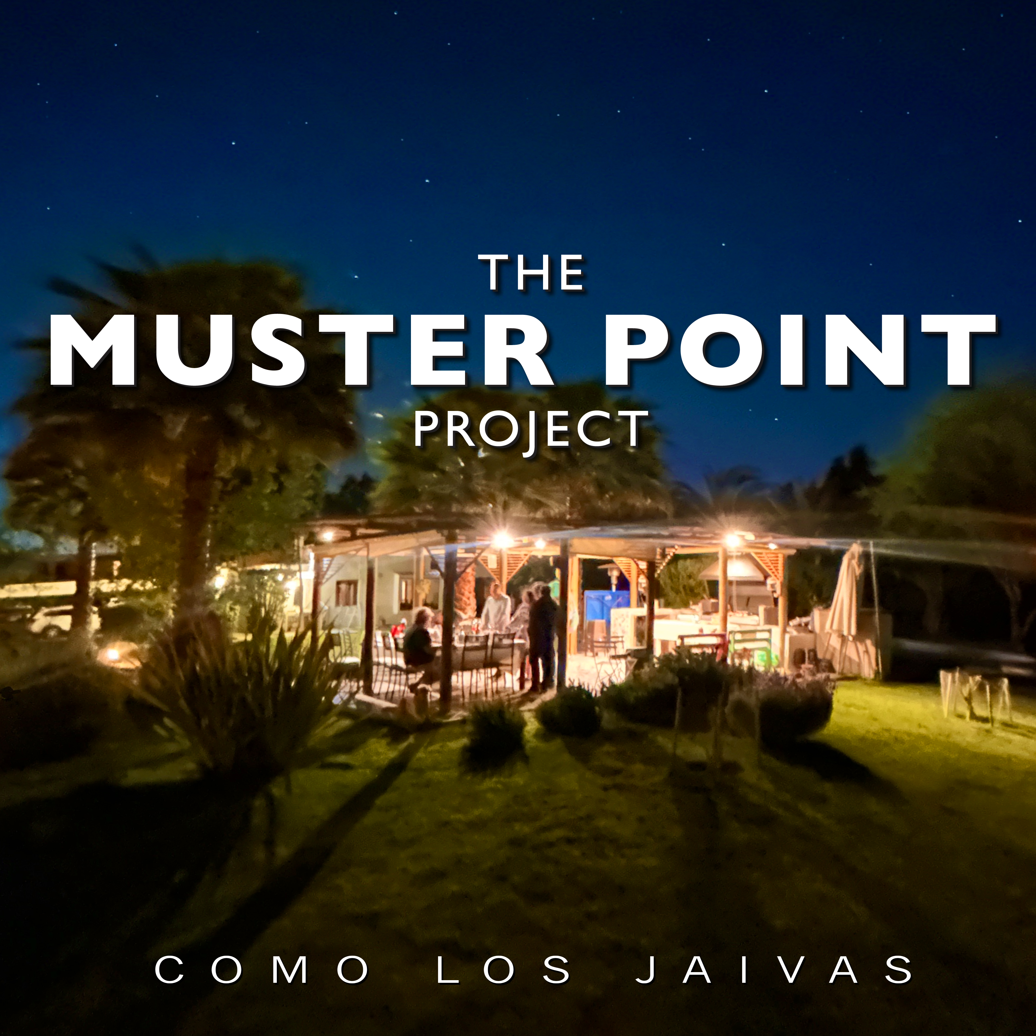 THE MUSTER POINT PROJECT – Como Los Jaivas
