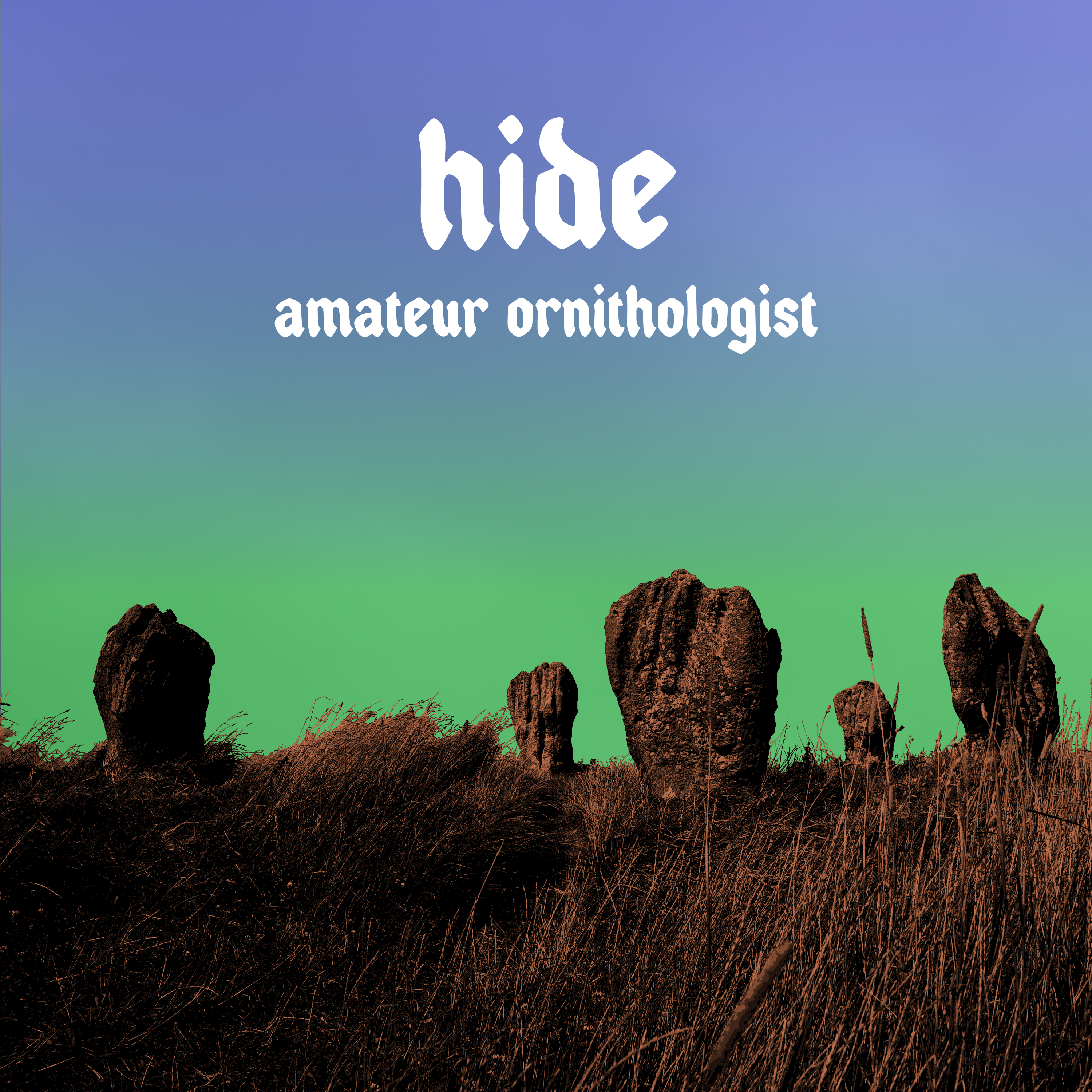AMATEUR ORNITHOLOGIST – Hide