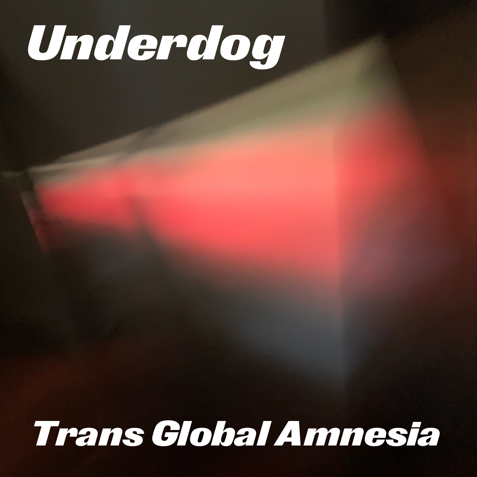 UNDERDOG . Trans Global Amnesia