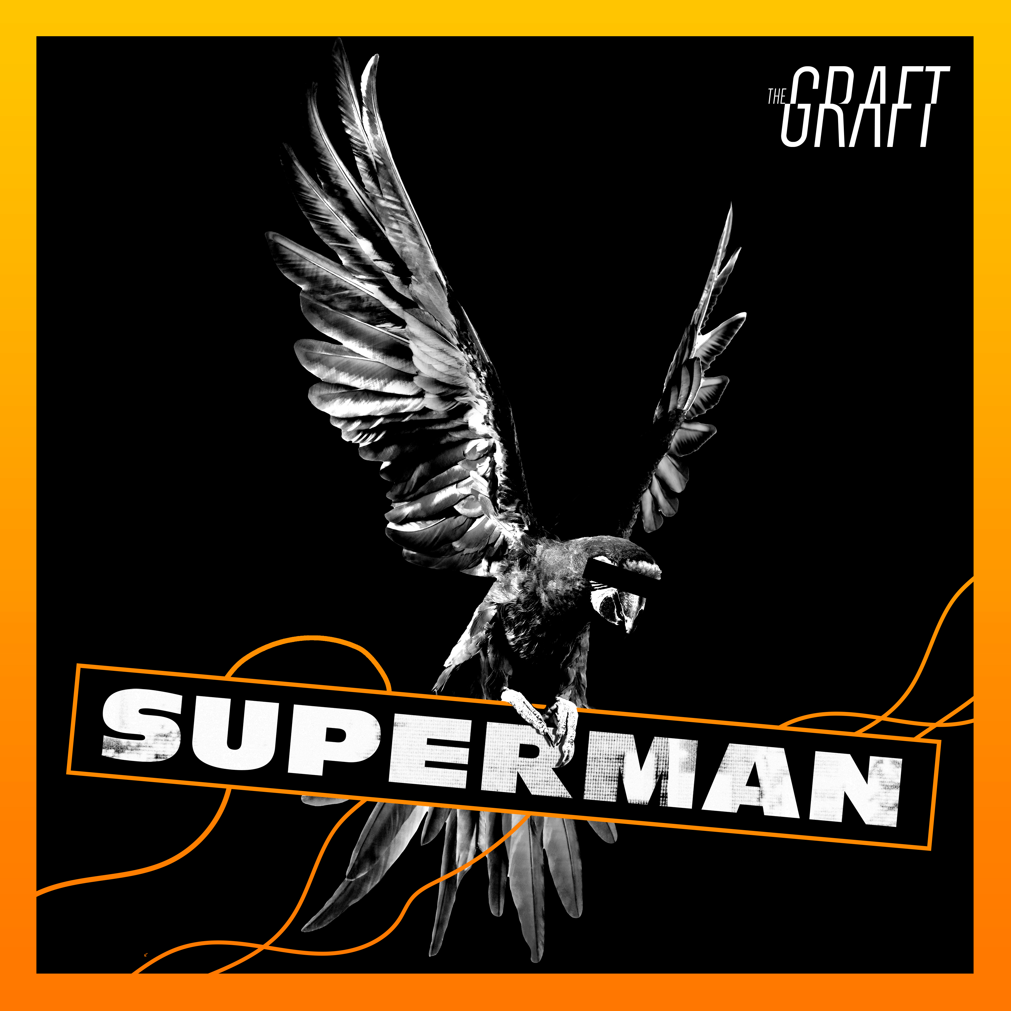 THE GRAFT – Superman