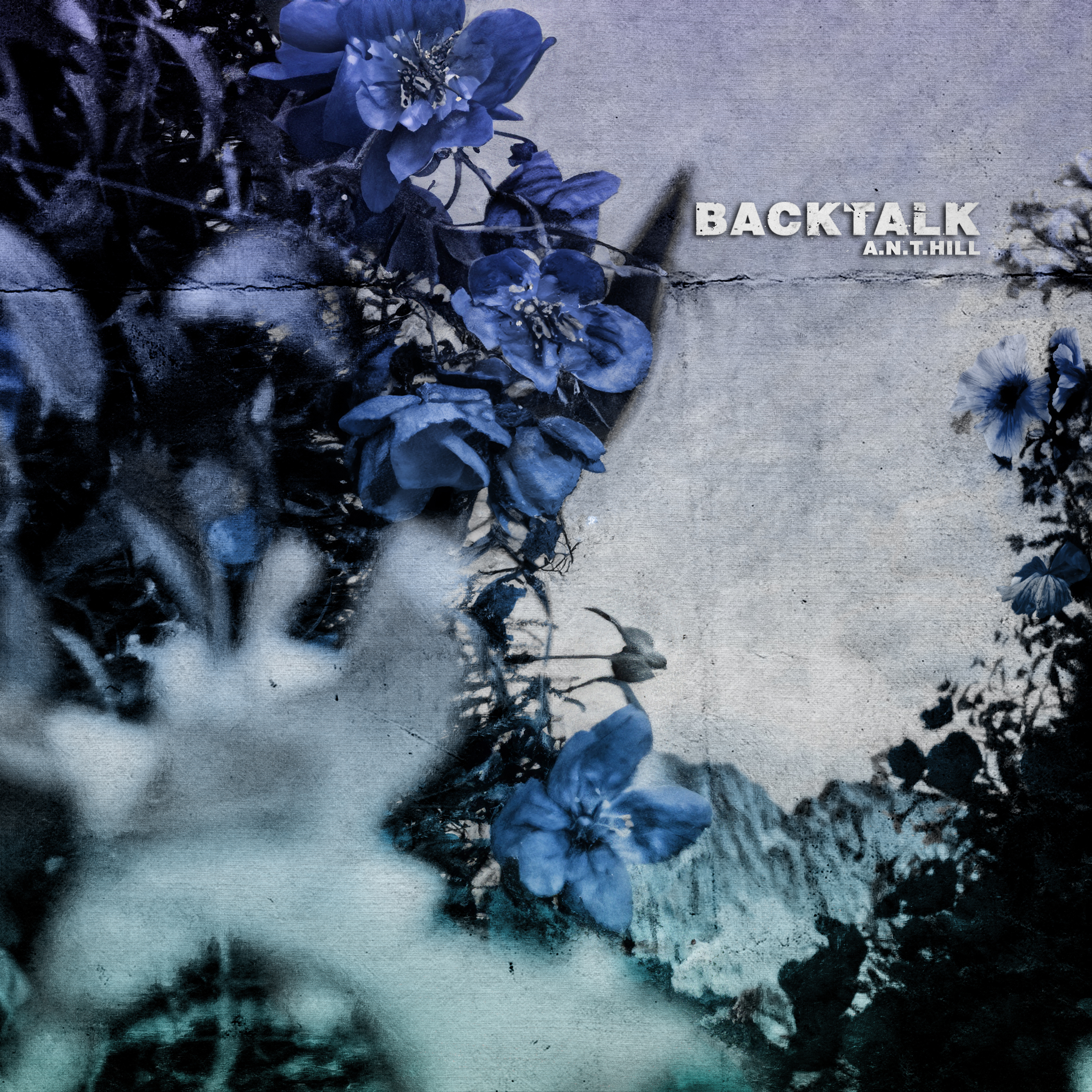 BACKTALK – A.N.T.Hill