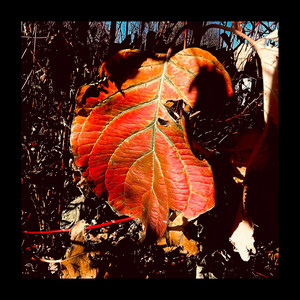 Jeremy Lozano – Little Bit&nbsp;Scared