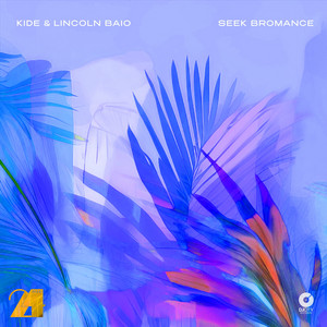Kide IT – Seek&nbsp;Bromance