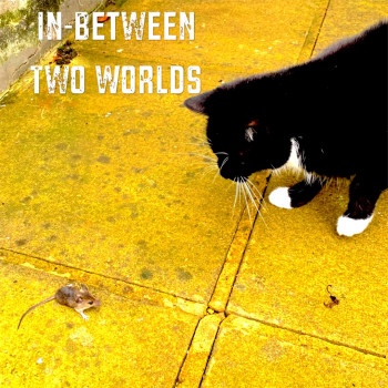NELDA – In-Between Two Worlds