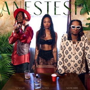 Venesti – ANESTESIA