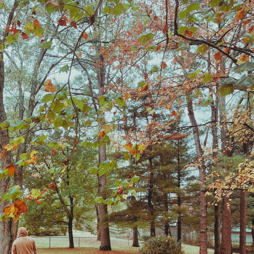 Scott Apple –&nbsp;Evergreen