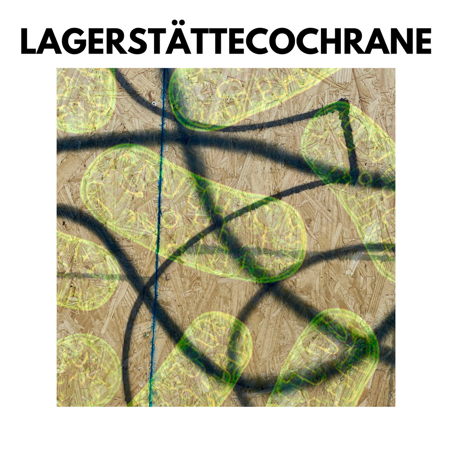Cochrane es el proyecto que te hará experimentar ambientaciones&nbsp; hipnóticas a través de su nuevo álbum «Lagerstätte»!
