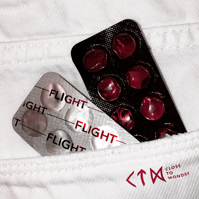 Close To Monday –&nbsp;Flight