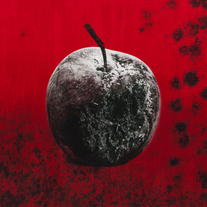 Silos&nbsp;x&nbsp;Escape the Fate x&nbsp;Craig Mabbitt&nbsp;x&nbsp;Judge & Jury – Black Mold