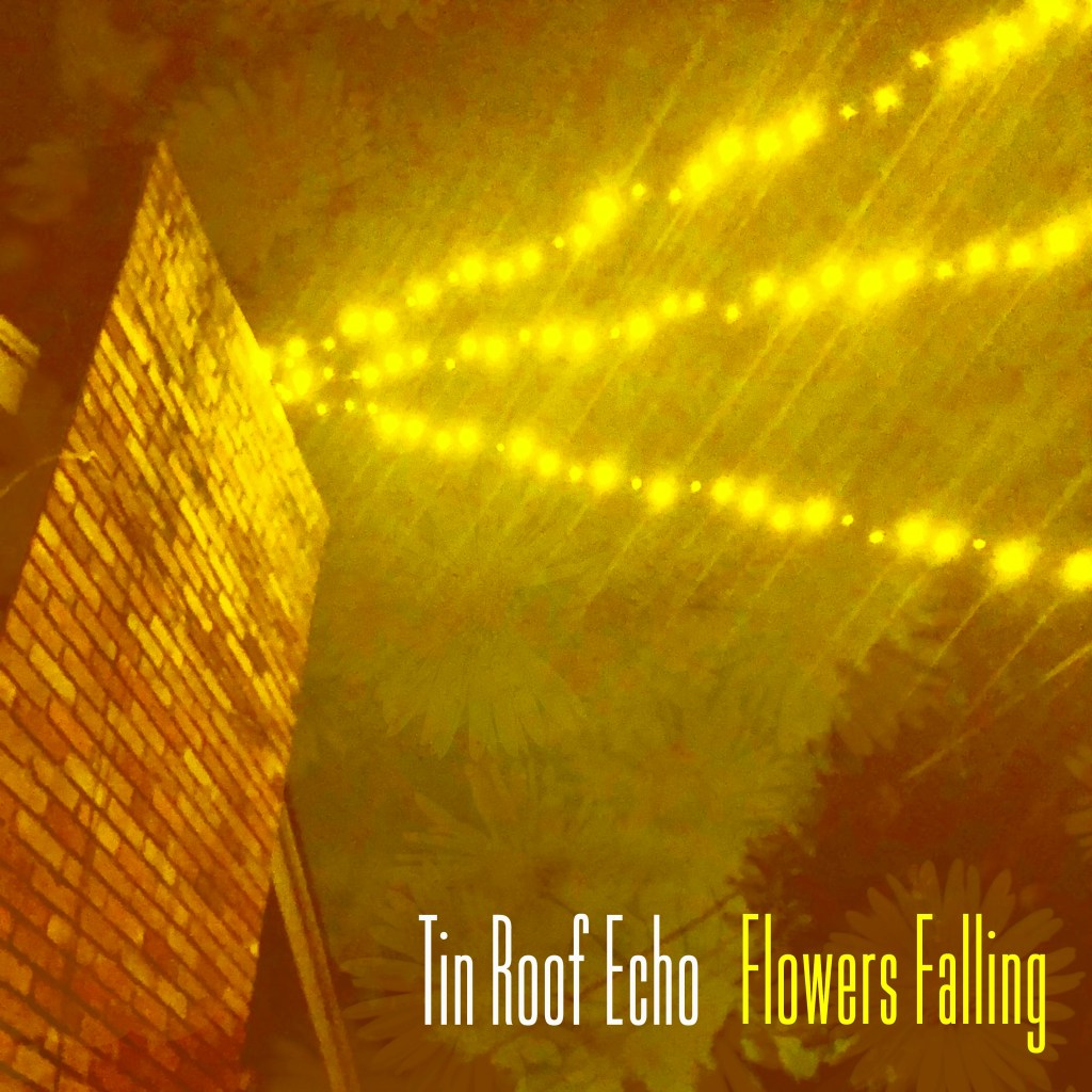 Tin Roof Echo – The Land Of&nbsp;Apathy
