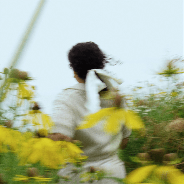 Isabel Harouny – The&nbsp;One