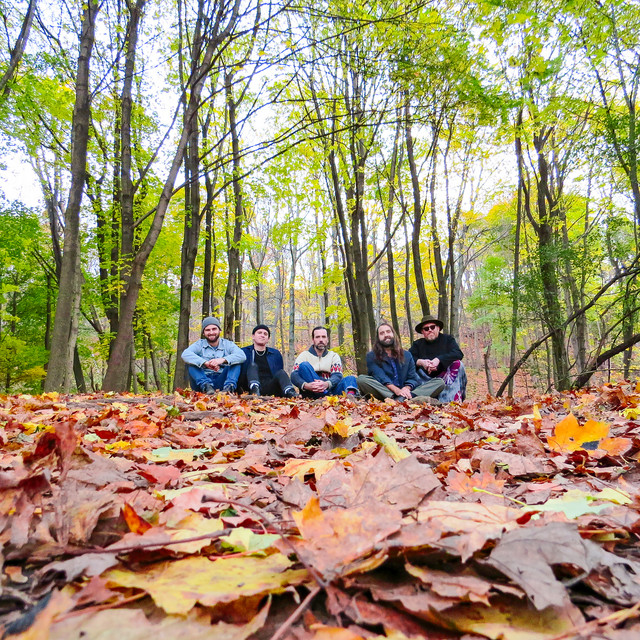 Golden Feathe –&nbsp;Goodbye