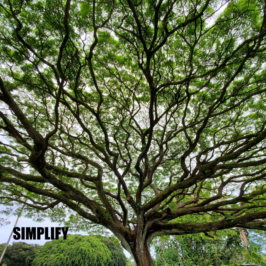 Simplify – Braking