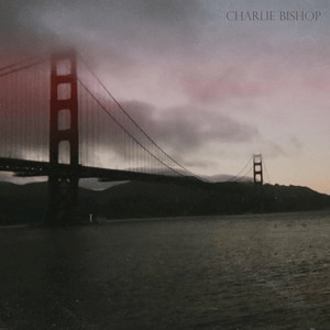 Charlie Bishop – What Were You Thinking