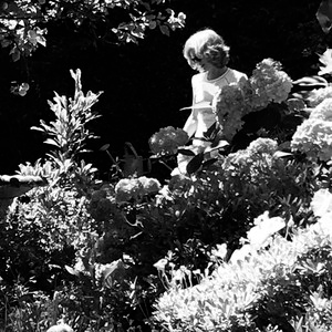 Emmett McGrath – Over the&nbsp;Hill