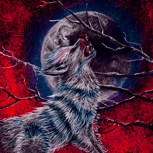 Nathan Leong – INSOMNIA