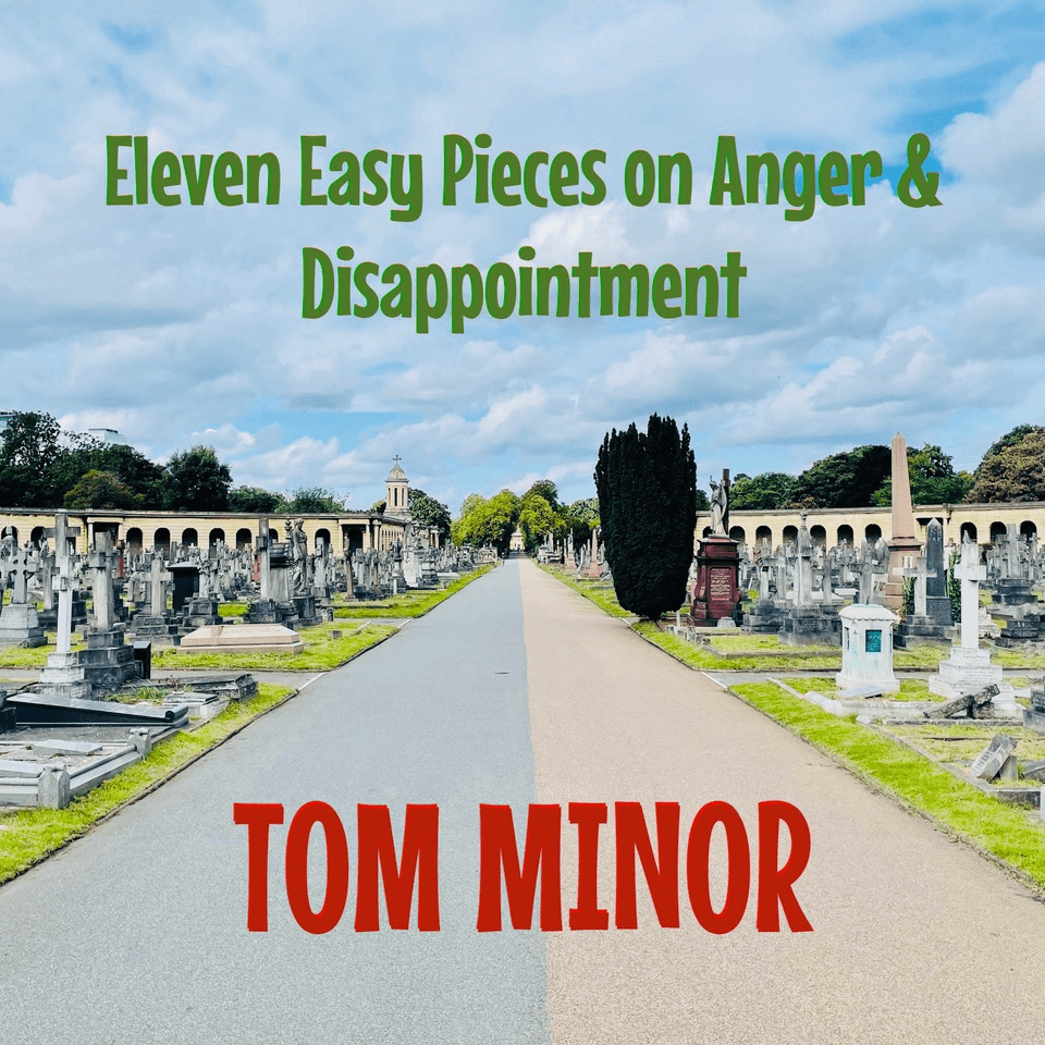Tom Minor: Eleven Easy Pieces on Anger &&nbsp;Disappointment