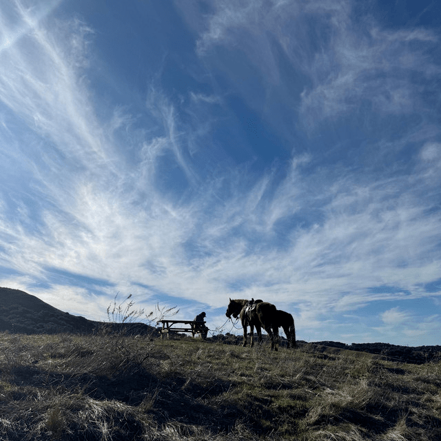 Stefan J. Selbert – Golden Hills