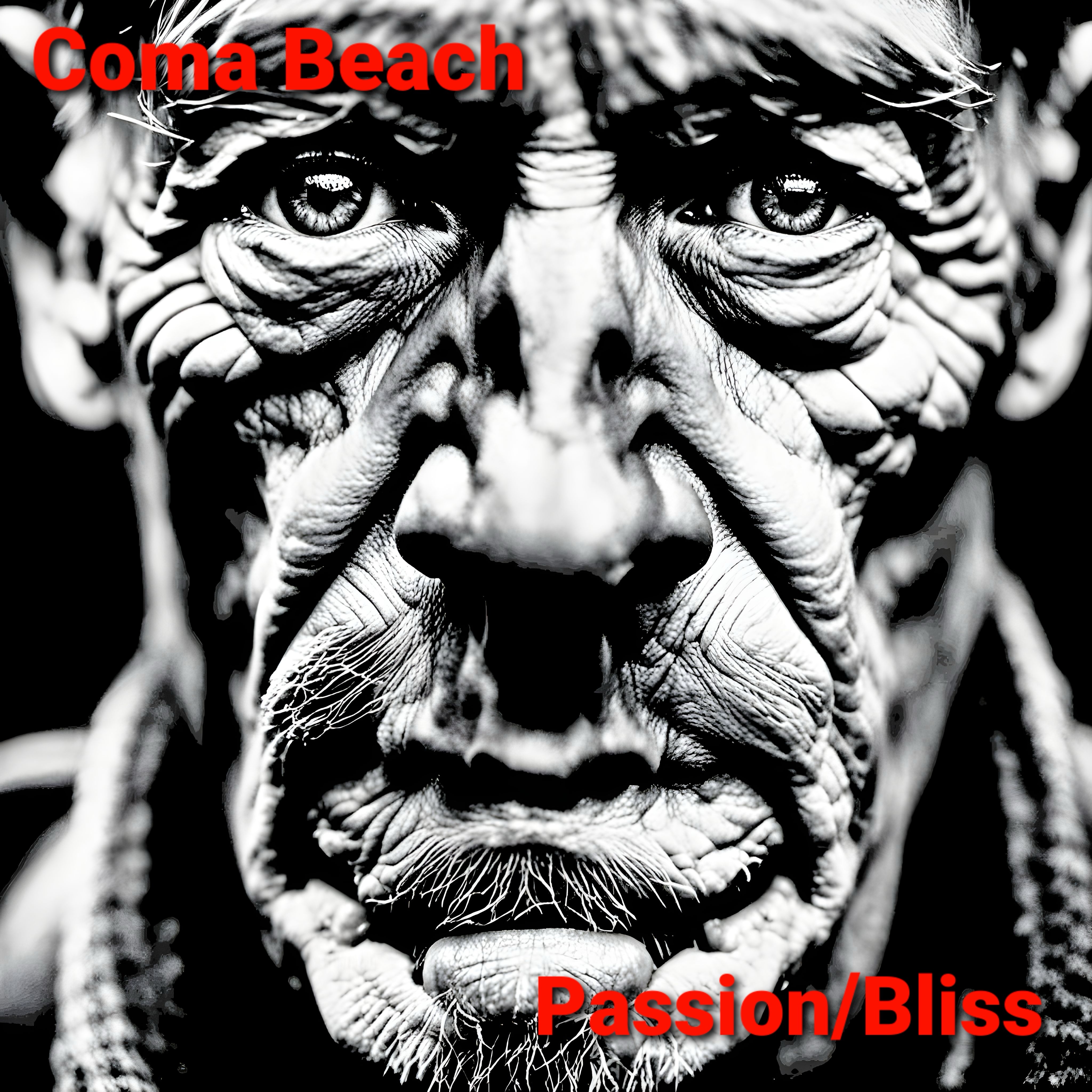 COMA BEACH – Passion/Bliss