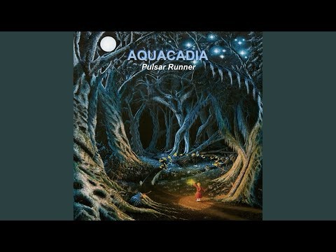 Aquacadia – Pulsar Runner