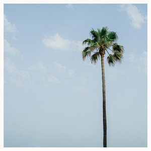 Oden Forest – Take Me&nbsp;Home