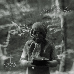 Ols – proch kość&nbsp;liść