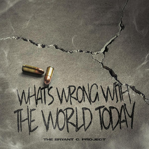 The Bryant C. Project – What’s Wrong With The World Today