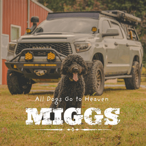 MIGGS – All Dogs Go To Heaven