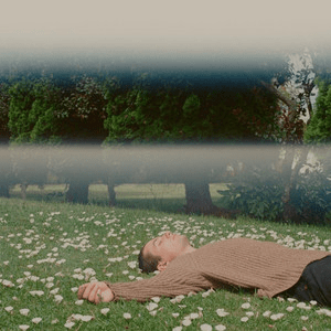 Rinnovare – Luciérnaga