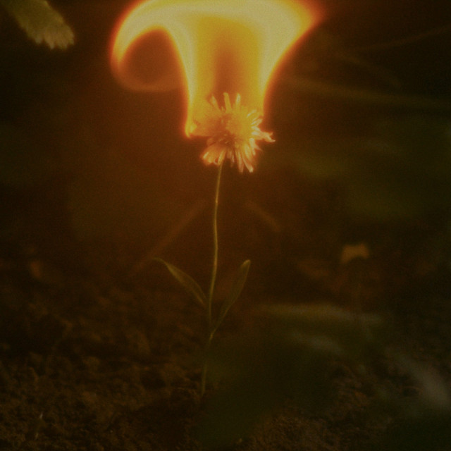 JOA – Previous&nbsp;Problems