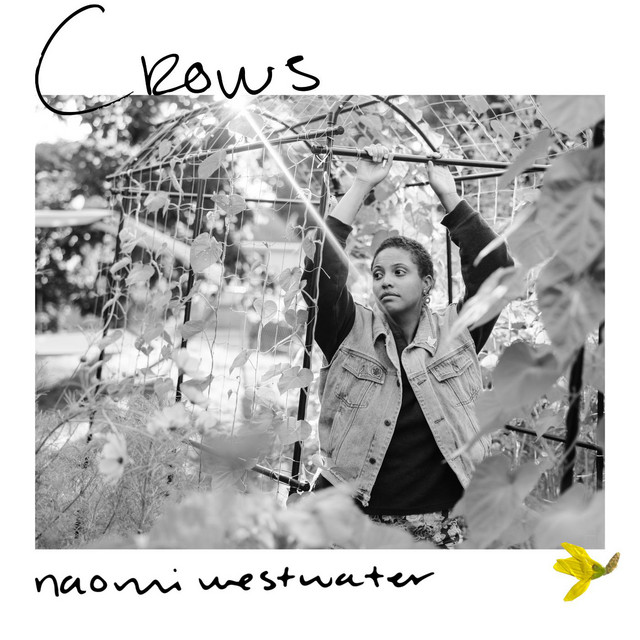 Naomi Westwater – Crows
