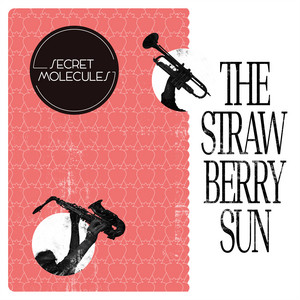 Secret Molecules – The Strawberry&nbsp;Sun
