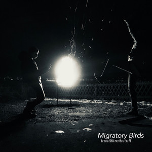 trost&treibstoff – Migratory Birds