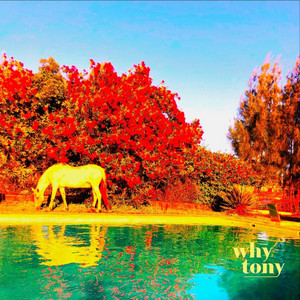 Why Tony – Human Throne (The Moods Cover)