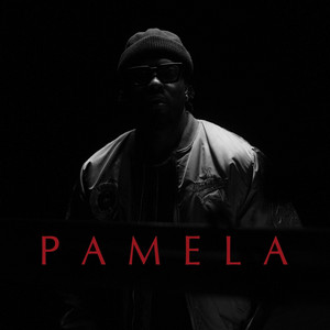 Chigo – PAMELA