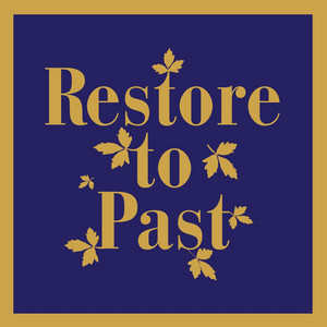 Restore to Past – The Accountant´s&nbsp;Appeal