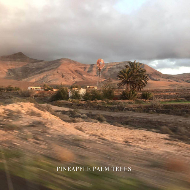 Bram Van Langen – Pineapple Palm&nbsp;Trees