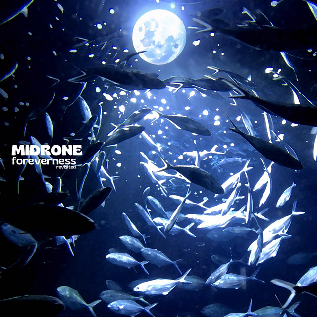 Midrone – The little walk down memory lane