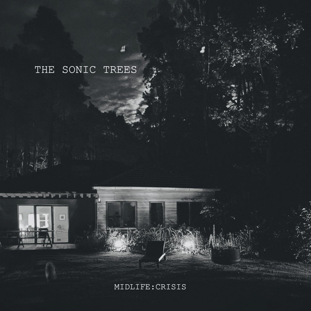 The Sonic Trees – Give me something&nbsp;beautiful