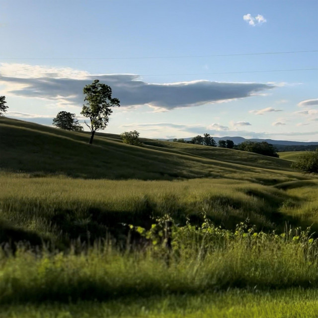 Gold Top County Ramblers – Lost