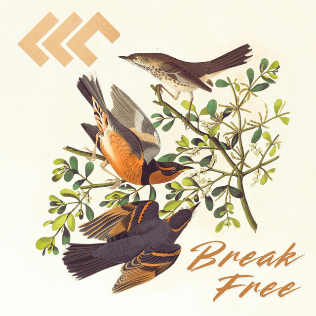 LLC x Blake Cateris – Break Free