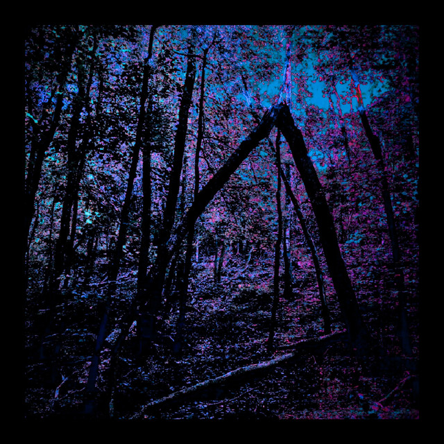 CATBEAR – Darkness