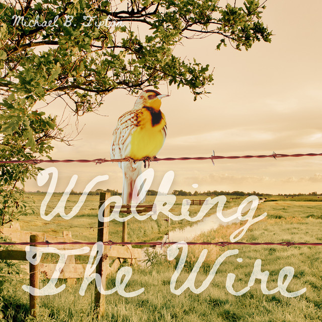 Michael B. Tipton – Walking The&nbsp;Wire