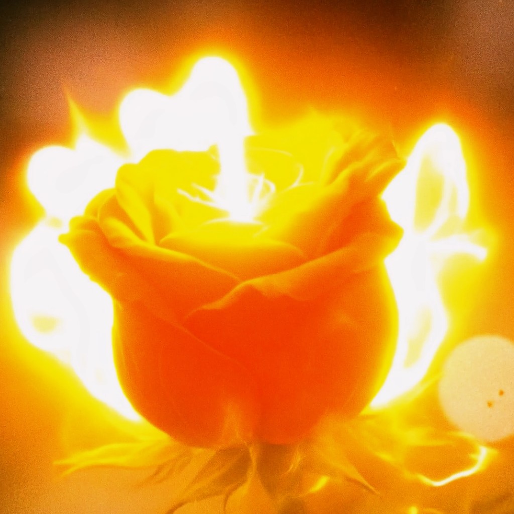 Transgalactica – The Great Escape I:&nbsp;Death