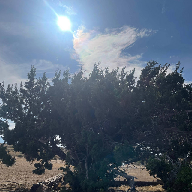 Xela Zander – Step&nbsp;Back