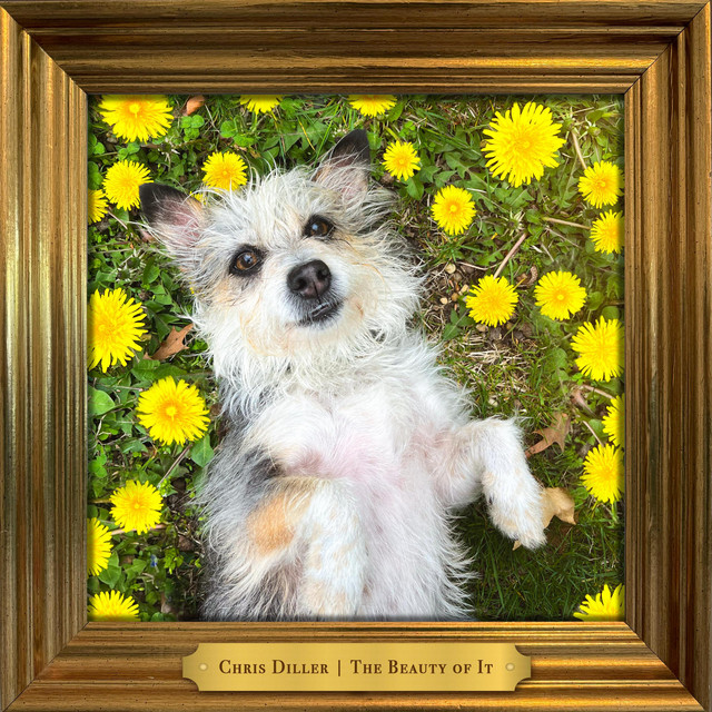 Chris Diller-Moth to a&nbsp;Flame