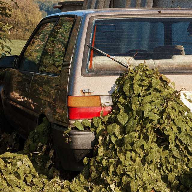 Joshua Hawkes-Carry It&nbsp;All