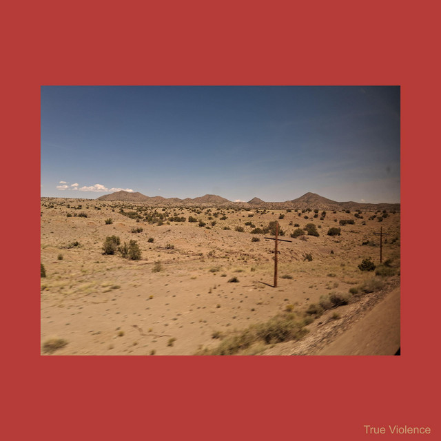 Marty Blick-True Violence